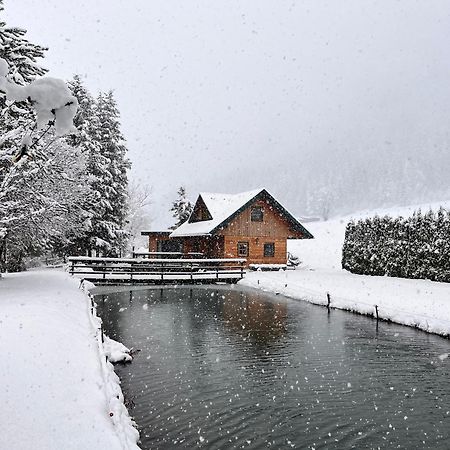 הוילה Feistritz am Kammersberg Chalet Am Teich Familie Gaenser מראה חיצוני תמונה