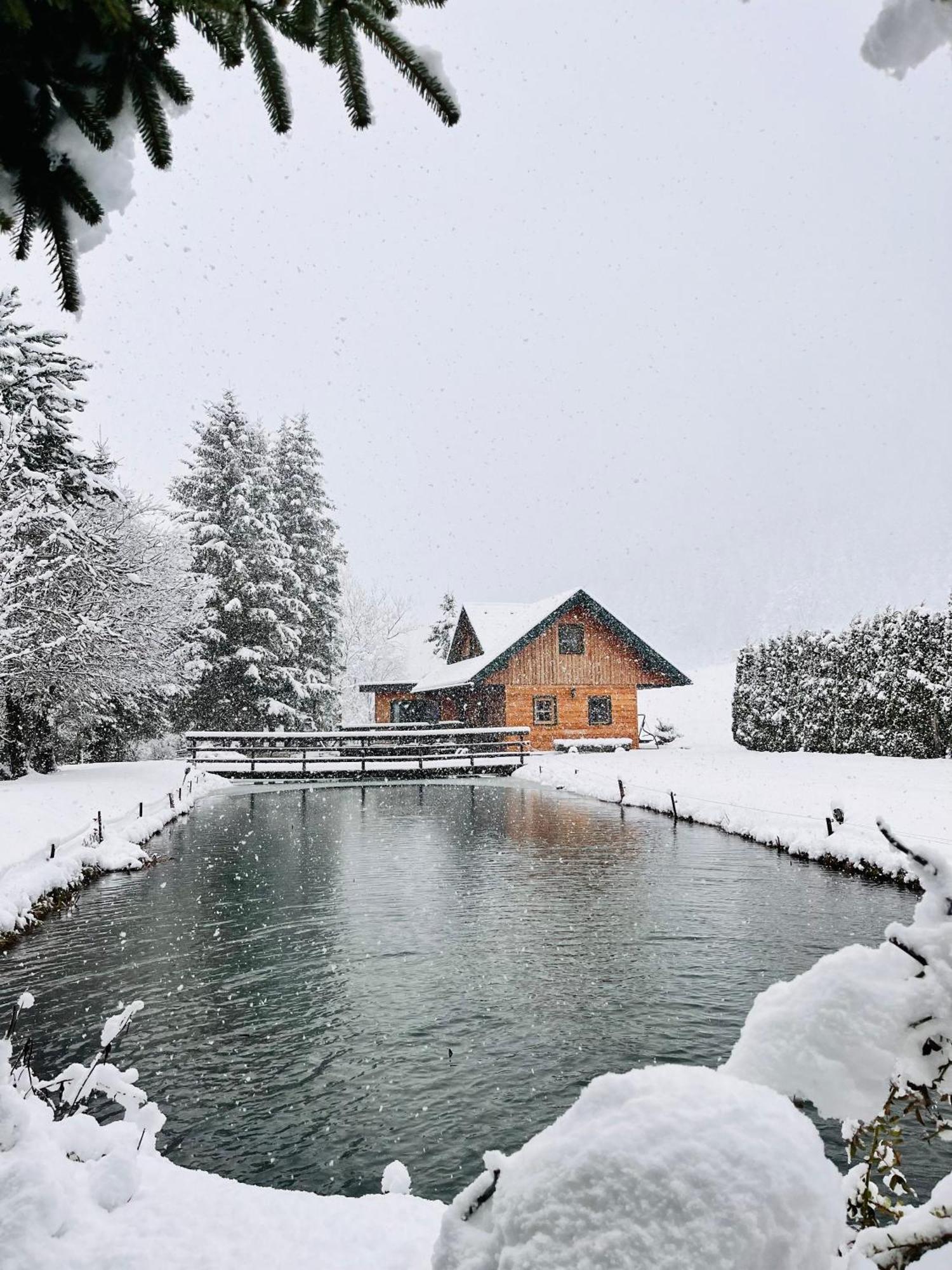 הוילה Feistritz am Kammersberg Chalet Am Teich Familie Gaenser מראה חיצוני תמונה