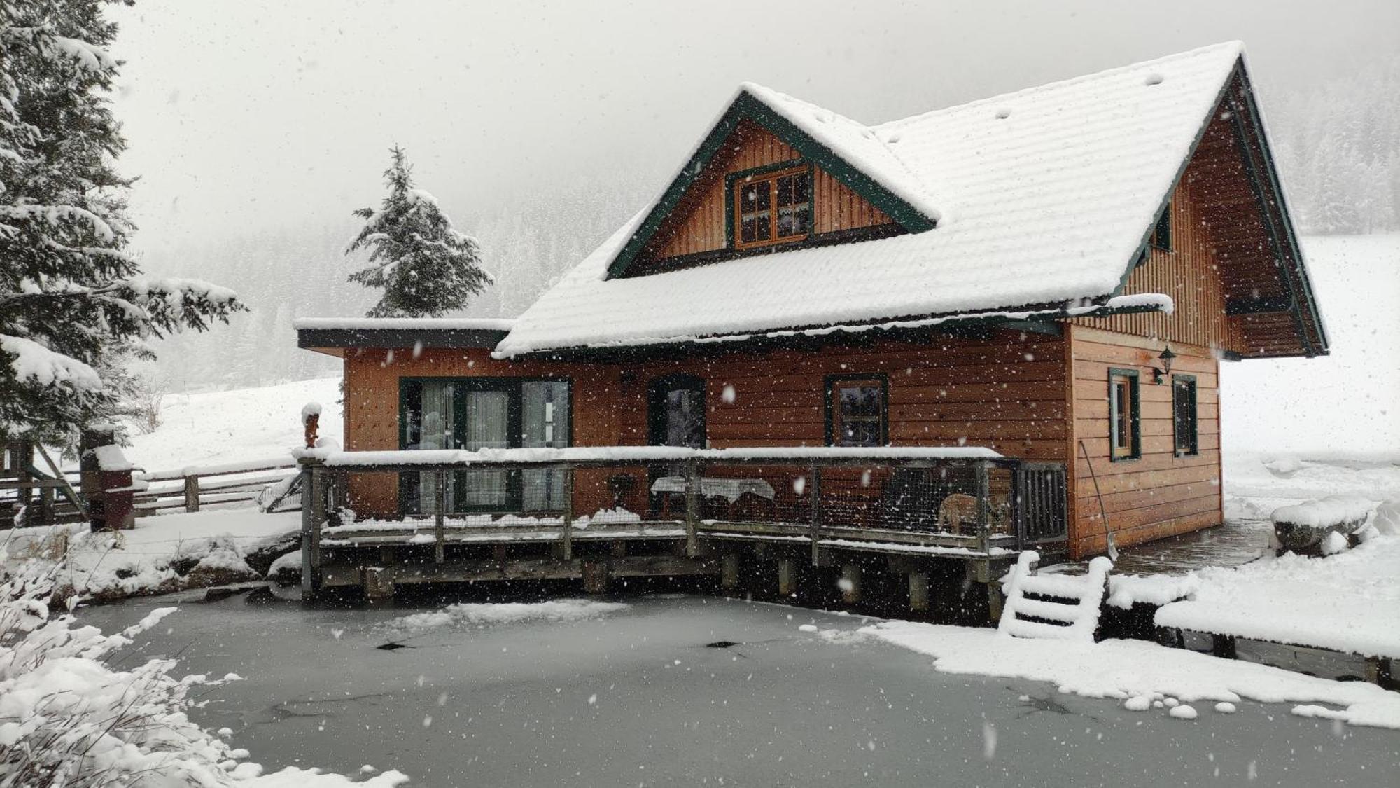 הוילה Feistritz am Kammersberg Chalet Am Teich Familie Gaenser מראה חיצוני תמונה